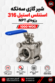 استنلس استیل 316 شیر گازی سه تکه (3PC) رزوهای NPT 1000 WOG